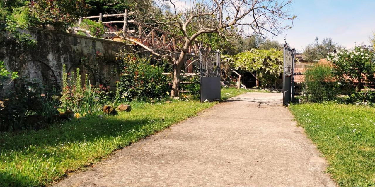 Giardino 21 Marzo Bed and Breakfast Vico Equense Εξωτερικό φωτογραφία