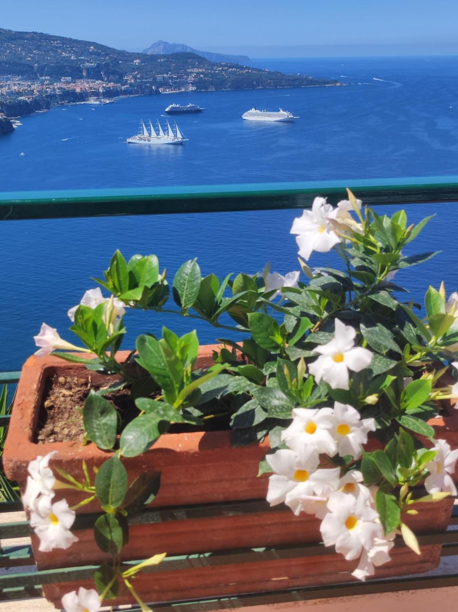 Giardino 21 Marzo Bed and Breakfast Vico Equense Εξωτερικό φωτογραφία