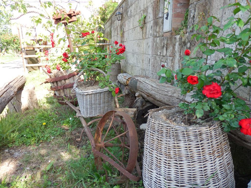 Giardino 21 Marzo Bed and Breakfast Vico Equense Εξωτερικό φωτογραφία