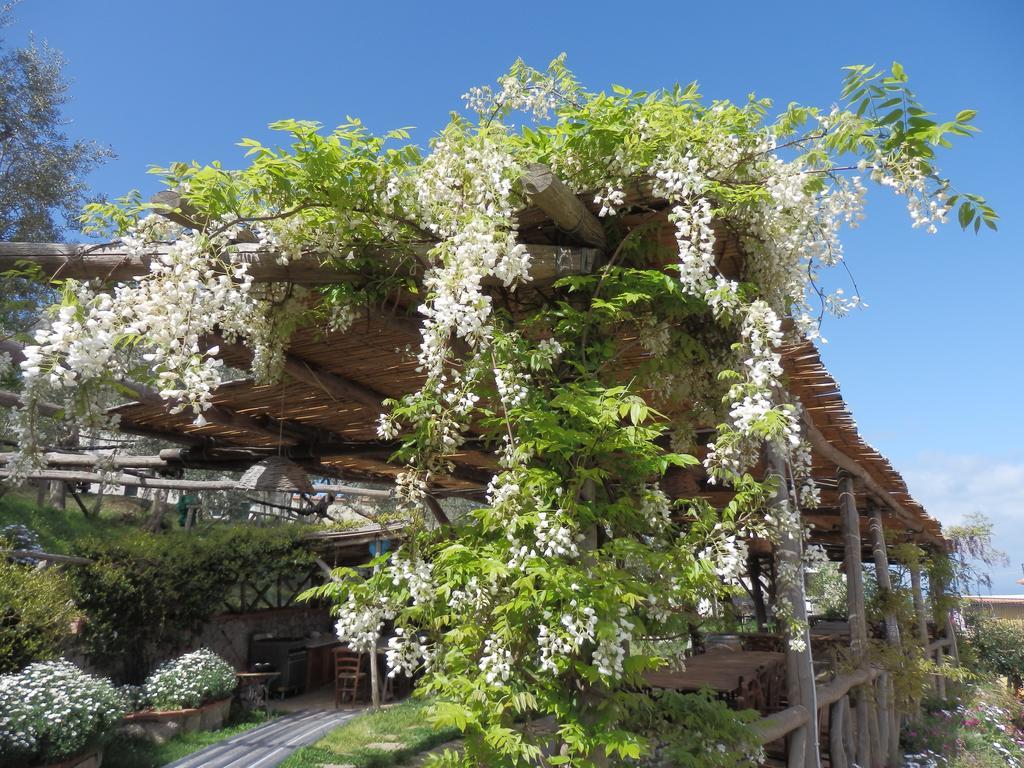 Giardino 21 Marzo Bed and Breakfast Vico Equense Εξωτερικό φωτογραφία