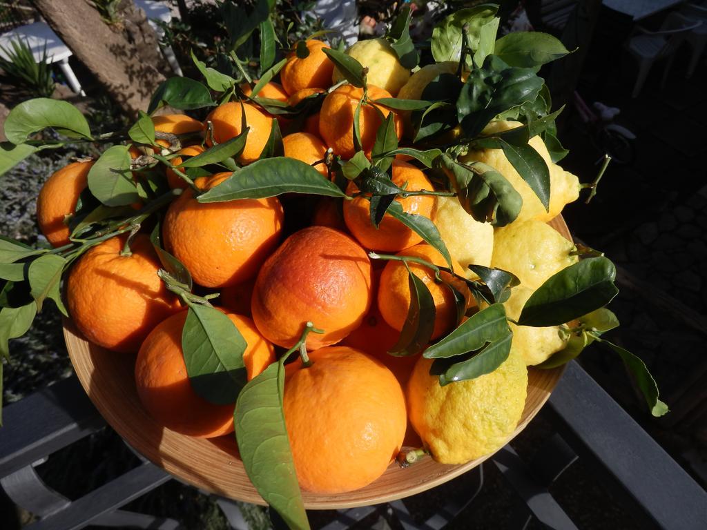Giardino 21 Marzo Bed and Breakfast Vico Equense Εξωτερικό φωτογραφία